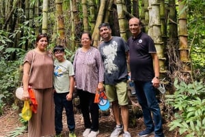 Cidade de Ho Chi Minh: Excursão de meio dia aos Túneis de Cu Chi com lanches