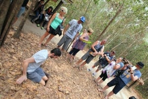Ho Chi Minh Stadt: Cu Chi Tunnels Tour