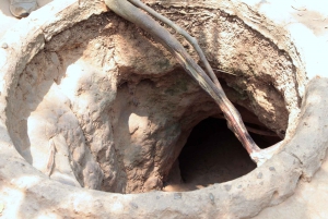 Ho Chi Minh City: Cu Chi Tunnels Tour
