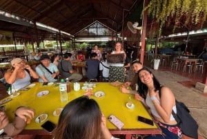 Ho Chi Minhstad: ontdek de Mekong Delta en het kokosnootdorp