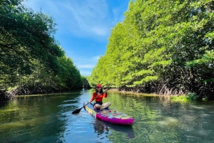 Ciudad Ho Chi Minh: tour de día completo con kayak al atardecer