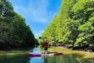 Ciudad Ho Chi Minh: tour de día completo con kayak al atardecer