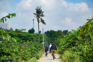 Ho Chi Minh: Half day Green Oasis Bike Tour
