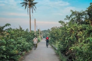 Ho Chi Minh: Half day Green Oasis Bike Tour