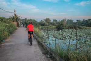 Ho Chi Minh: Half day Green Oasis Bike Tour