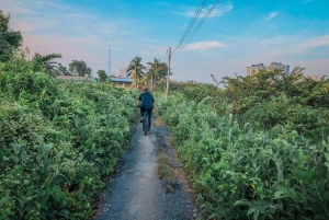Ho Chi Minh: Half day Green Oasis Bike Tour
