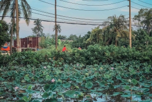 Ho Chi Minh: Half day Green Oasis Bike Tour