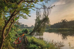Ho Chi Minh: Half day Green Oasis Bike Tour