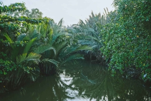 Ho Chi Minh: Half day Green Oasis Bike Tour