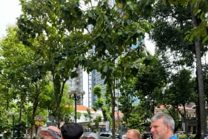 Ho Chi Minh: Tour guidato a piedi dei punti salienti della città