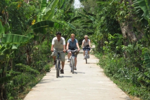 From Ho Chi Minh: Mekong Delta, My Tho & Ben Tre Day Trip