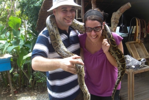 From Ho Chi Minh: Mekong Delta, My Tho & Ben Tre Day Trip