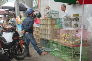 Ho Chi Minh City: Saigon Morning Markets Tour by Motorbike