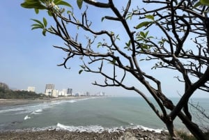 Ho Chi Minh-byen: Heldagsutflukt til Vung Tau-stranden med lunsj