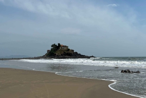 Ho Chi Minh-byen: Heldagstur til Vung Tau-stranden med lunsj