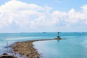Ho Chi Minh-byen: Heldagstur til Vung Tau-stranden med lunsj