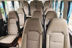 Ho Chi Minh-byen: Heldagstur til Vung Tau-stranden med lunsj