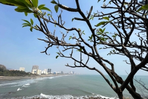 Cidade de Ho Chi Minh: Viagem de 1 dia à praia de Vung Tau com almoço