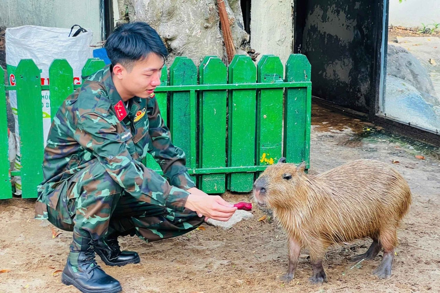 Ho Chi Minh City: Zoo & History Museum Guided Tour