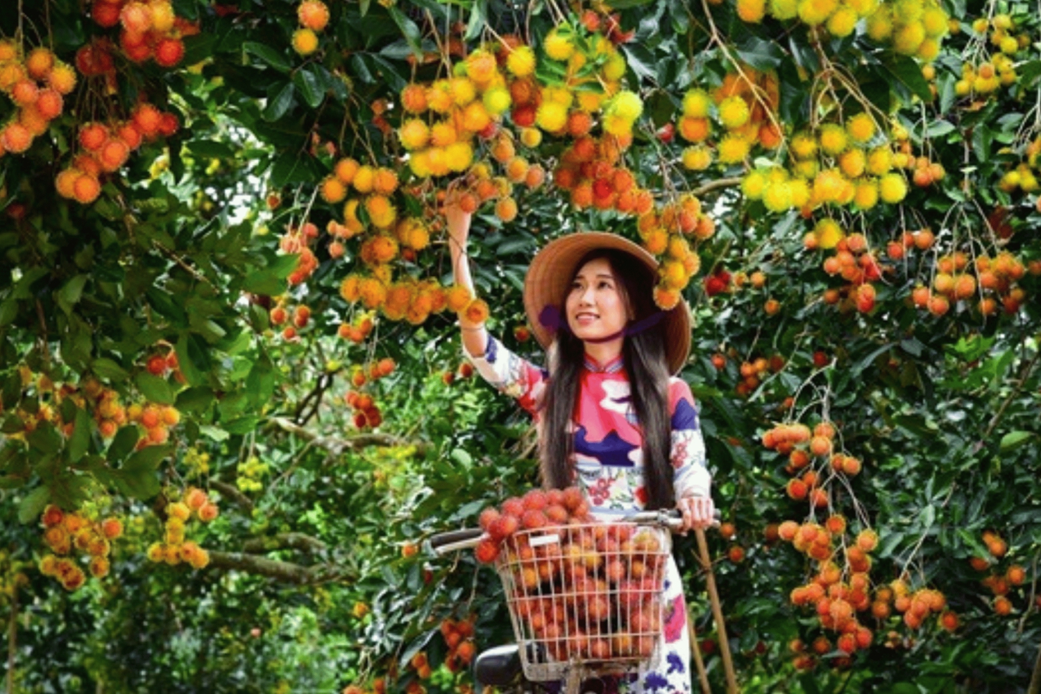 Ho Chi Minh: Fruit Garden & Farm-to-Table Experience