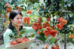 Ho Chi Minh: Fruit Garden & Farm-to-Table Experience