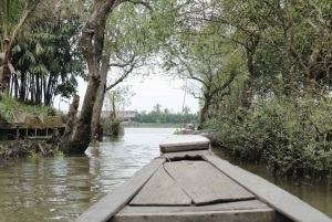 Ho Chi Minh: Mekong Delta Cai Be Floating Market Day Tour