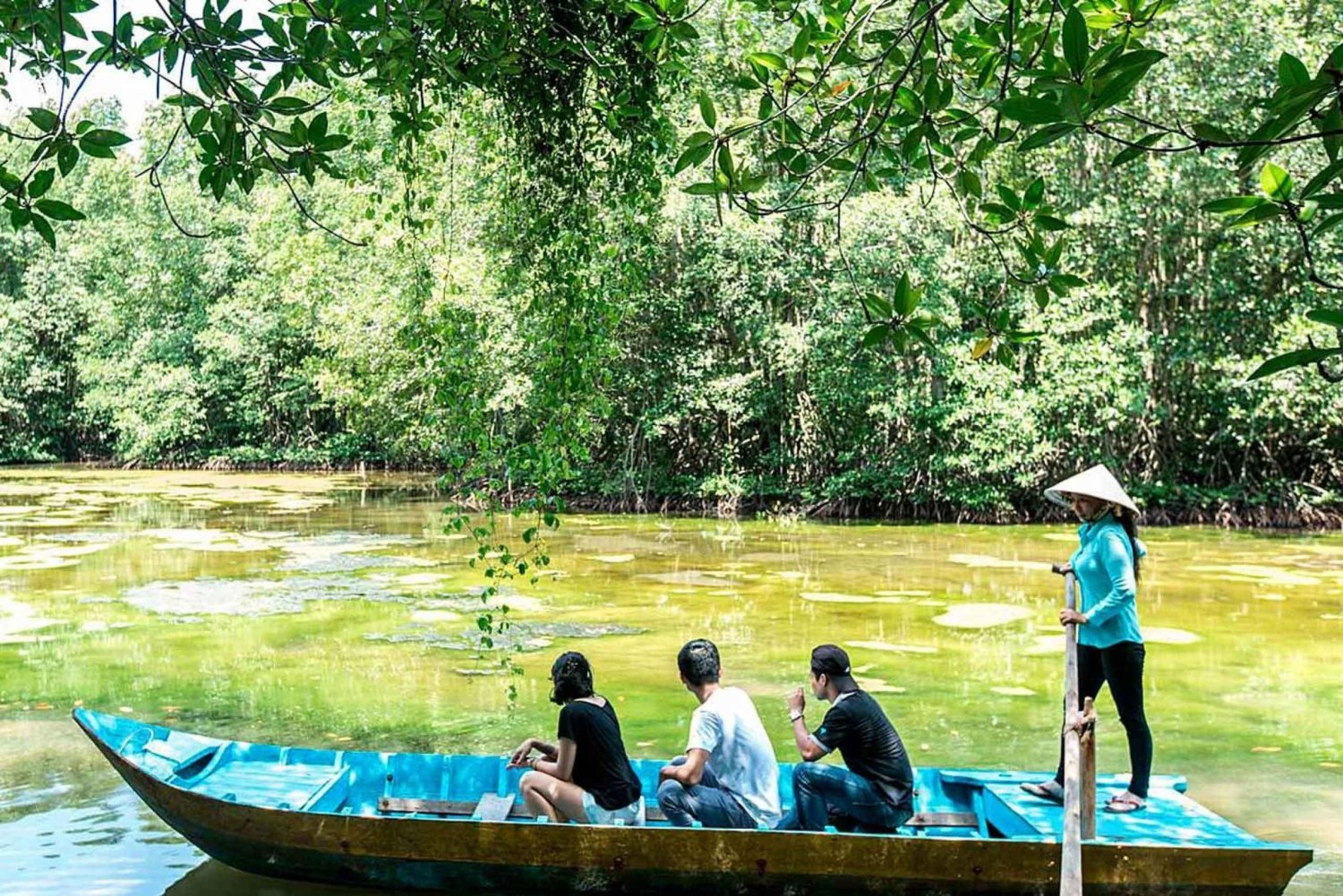 Ho Chi Minh: Private Can Gio Mangrove Forest Day Tour
