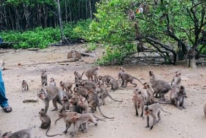 Ho Chi Minh: Privat dagstur till mangroveskogen i Can Gio