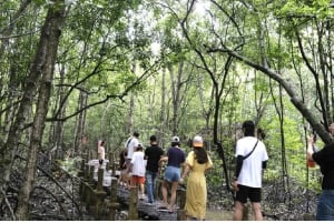 Ho Chi Minh: Privat dagstur till mangroveskogen i Can Gio