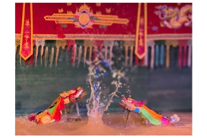 Ho Chi Minh: Water Puppet Show Ticket