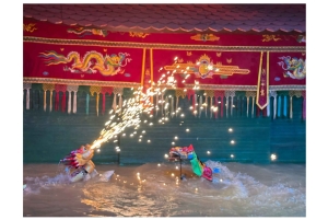 Ho Chi Minh: Water Puppet Show Ticket