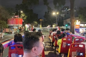 Espectáculo de títeres acuáticos, autobús acuático y autobús turístico en Ho Chi Minh