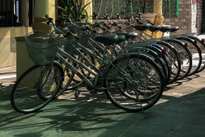 From Hanoi: Tam Coc, Hoa Lu & Mua Caves Full-Day Trip