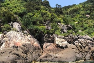 Hoi An: Hoi Hoi: Chamin saari ja Bai Xep -päiväretki snorklaamalla