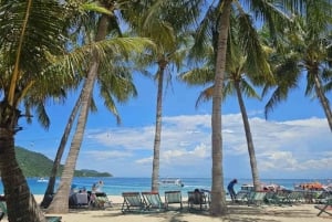 Hoi An: Hoi Hoi: Chamin saari ja Bai Xep -päiväretki snorklaamalla