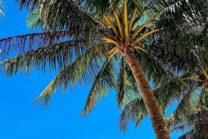 Hoi An: Hoi Hoi: Chamin saari ja Bai Xep -päiväretki snorklaamalla