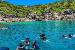 Hoi An: Hoi Hoi: Chamin saari ja Bai Xep -päiväretki snorklaamalla