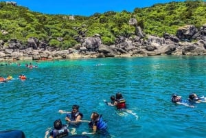 Hoi An: Hoi Hoi: Chamin saari ja Bai Xep -päiväretki snorklaamalla