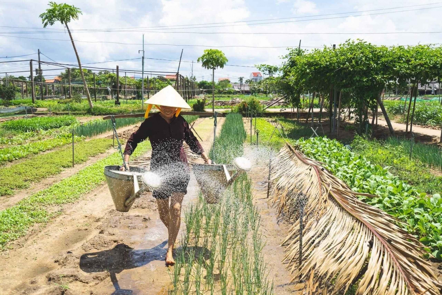Hoi An: Authentic Cooking class in organic Herb Village