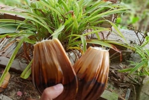 Hoi An: Boottocht in het kokosnotenbos