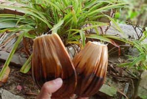 Hoi An: Giro in barca nella foresta di cocco