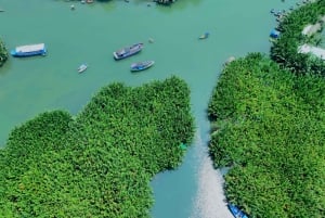 Hoi An: Giro in barca nella foresta di cocco