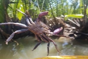 Hoi An: clase de cocina en Bay Mau con opción de visita al mercado y paseo en barca de bambú