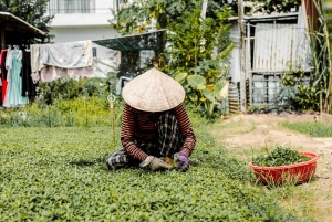 Hội An : visite culinaire avec plus de 15 dégustations