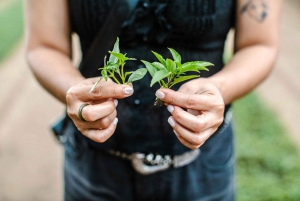 Hội An : visite culinaire avec plus de 15 dégustations