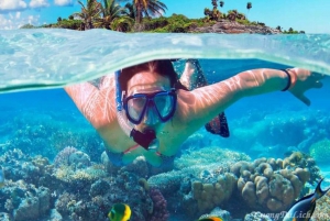 From Hoi An: Cham Island Full-Day Tour w/ Snorkeling & Lunch