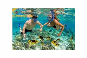 From Hoi An: Cham Island Full-Day Tour w/ Snorkeling & Lunch
