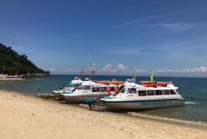Hoi An: Cham Islands Highlights Day Tour, Snorkeling & Lunch