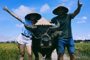 Hoi An: Campiña en bicicleta, montar en búfalo y hacer agricultura