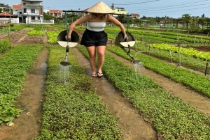 Hoi An: Countryside by Cycling, Buffalo Riding & Do Farming